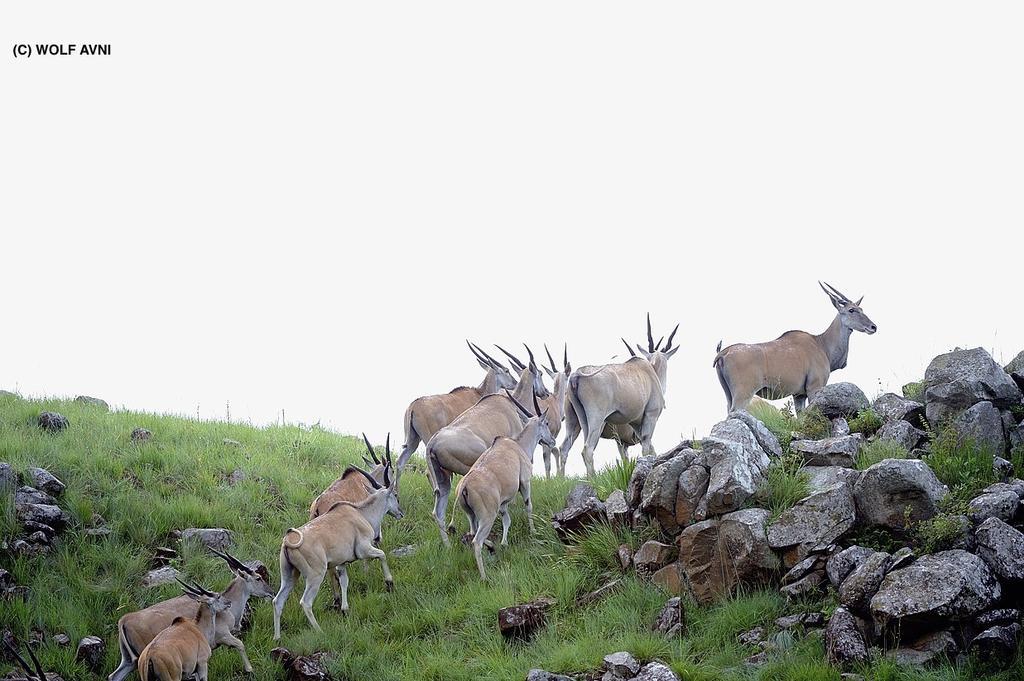 Giantscup Wilderness Reserve アンダーバーグ エクステリア 写真